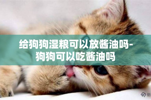 給狗狗濕糧可以放醬油嗎-狗狗可以吃醬油嗎