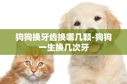 狗狗換牙齒換哪幾顆-狗狗一生換幾次牙