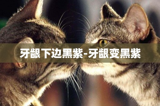 牙齦下邊黑紫-牙齦變黑紫