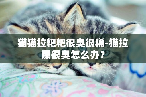 貓貓拉粑粑很臭很稀-貓拉屎很臭怎么辦？