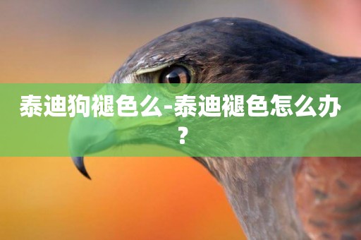 泰迪狗褪色么-泰迪褪色怎么辦？