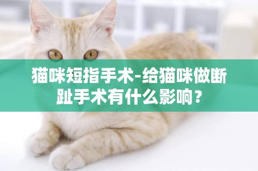 貓咪短指手術-給貓咪做斷趾手術有什么影響？