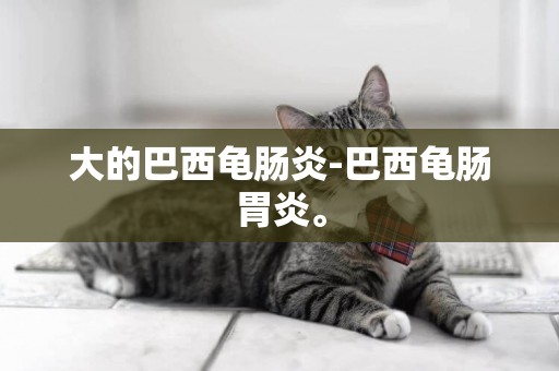 大的巴西龜腸炎-巴西龜腸胃炎。