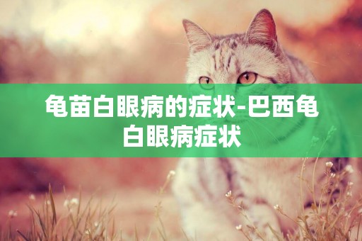龜苗白眼病的癥狀-巴西龜白眼病癥狀