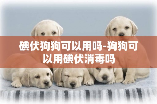 碘伏狗狗可以用嗎-狗狗可以用碘伏消毒嗎