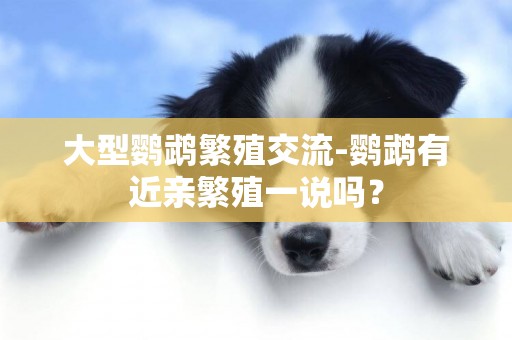 大型鸚鵡繁殖交流-鸚鵡有近親繁殖一說嗎？