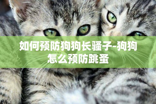 如何預防狗狗長騷子-狗狗怎么預防跳蚤