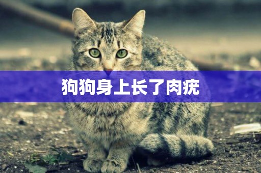 狗狗身上長了肉疣