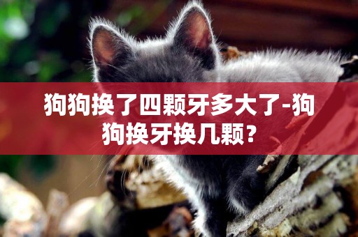 狗狗換了四顆牙多大了-狗狗換牙換幾顆？