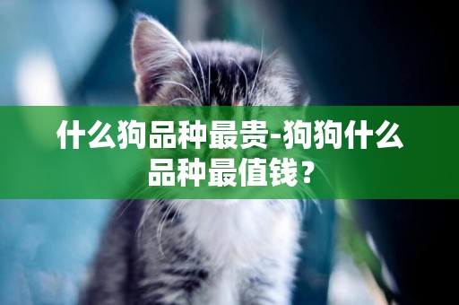 什么狗品種最貴-狗狗什么品種最值錢？