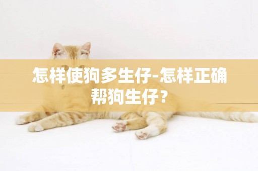 怎樣使狗多生仔-怎樣正確幫狗生仔？