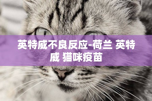 英特威不良反應-荷蘭 英特威 貓咪疫苗