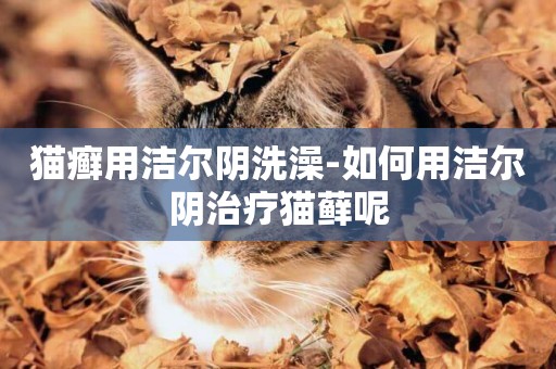貓癬用潔爾陰洗澡-如何用潔爾陰治療貓蘚呢