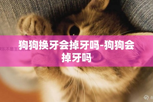狗狗換牙會掉牙嗎-狗狗會掉牙嗎