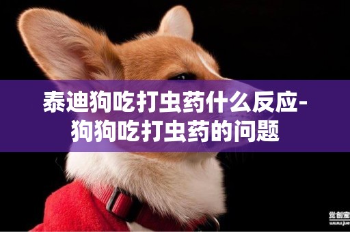 泰迪狗吃打蟲藥什么反應-狗狗吃打蟲藥的問題