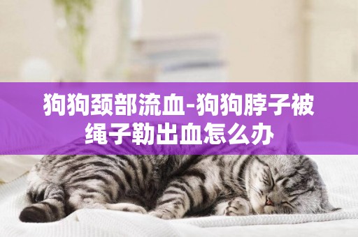 狗狗頸部流血-狗狗脖子被繩子勒出血怎么辦