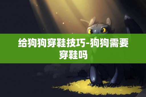 給狗狗穿鞋技巧-狗狗需要穿鞋嗎