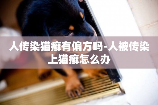 人傳染貓癬有偏方嗎-人被傳染上貓癬怎么辦