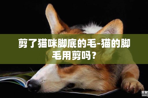 剪了貓咪腳底的毛-貓的腳毛用剪嗎？