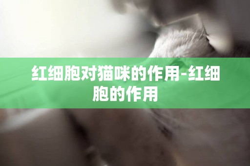 紅細胞對貓咪的作用-紅細胞的作用