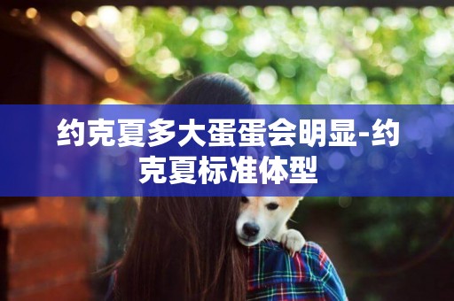 約克夏多大蛋蛋會明顯-約克夏標準體型