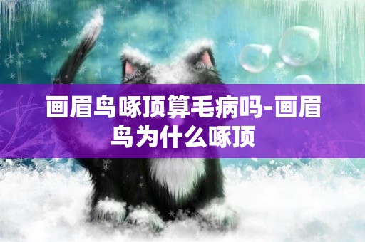 畫眉鳥啄頂算毛病嗎-畫眉鳥為什么啄頂