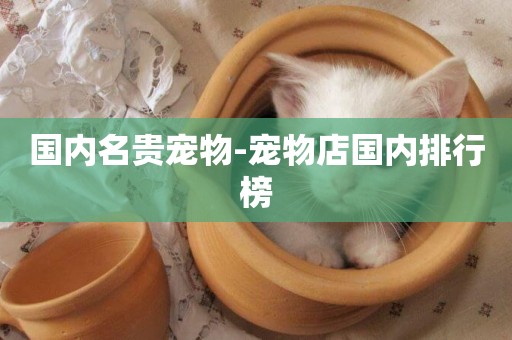 國內名貴寵物-寵物店國內排行榜