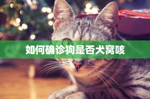 如何確診狗是否犬窩咳