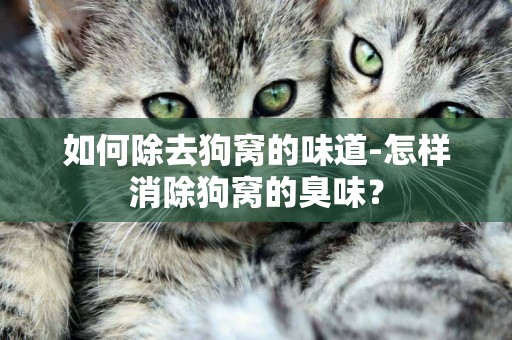 如何除去狗窩的味道-怎樣消除狗窩的臭味？