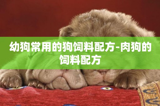 幼狗常用的狗飼料配方-肉狗的飼料配方