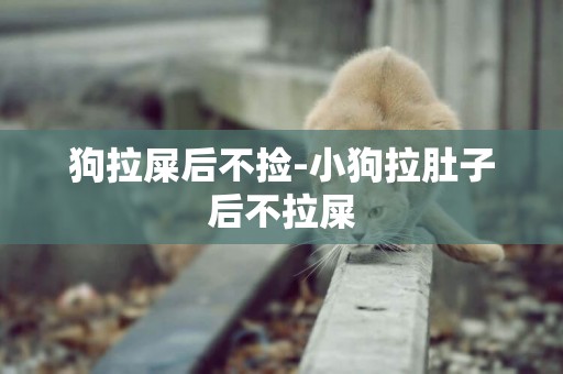 狗拉屎后不撿-小狗拉肚子后不拉屎