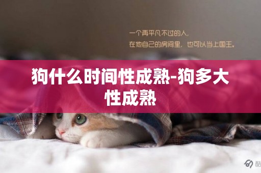 狗什么時間性成熟-狗多大性成熟