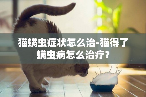 貓螨蟲癥狀怎么治-貓得了螨蟲病怎么治療？