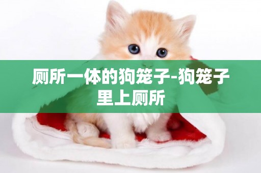 廁所一體的狗籠子-狗籠子里上廁所