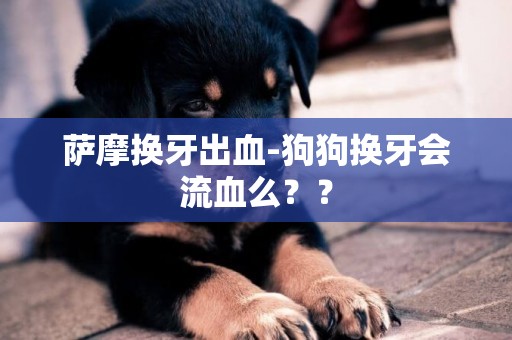 薩摩換牙出血-狗狗換牙會流血么？？