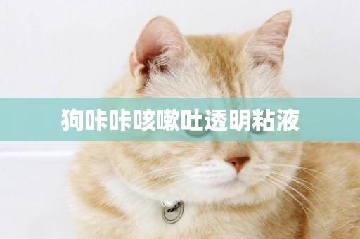 狗咔咔咳嗽吐透明粘液