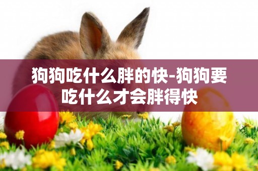 狗狗吃什么胖的快-狗狗要吃什么才會胖得快