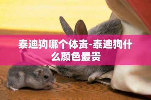 泰迪狗哪個體貴-泰迪狗什么顏色最貴