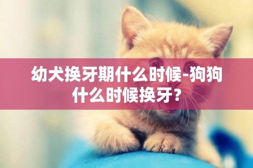 幼犬換牙期什么時候-狗狗什么時候換牙？