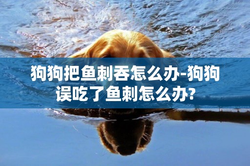 狗狗把魚刺吞怎么辦-狗狗誤吃了魚刺怎么辦?