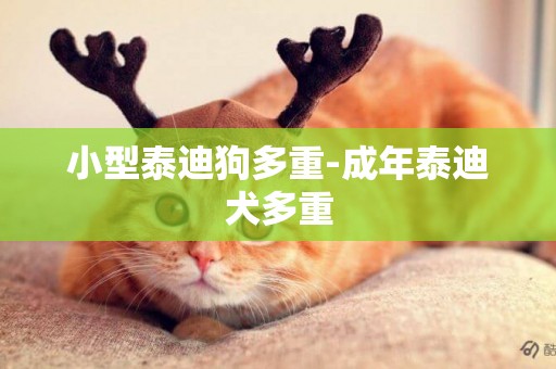 小型泰迪狗多重-成年泰迪犬多重