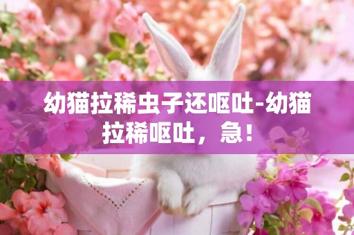 幼貓拉稀蟲子還嘔吐-幼貓拉稀嘔吐，急！