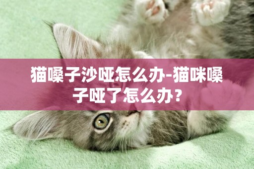 貓嗓子沙啞怎么辦-貓咪嗓子啞了怎么辦？