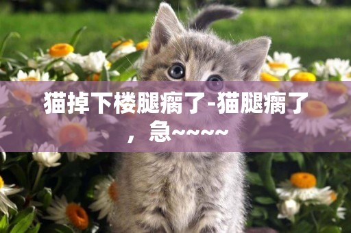 貓掉下樓腿瘸了-貓腿瘸了，急~~~~