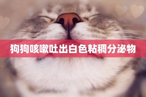狗狗咳嗽吐出白色粘稠分泌物