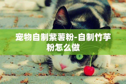 寵物自制紫薯粉-自制竹芋粉怎么做