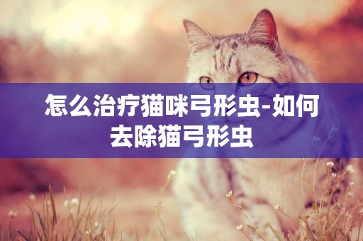 怎么治療貓咪弓形蟲-如何去除貓弓形蟲