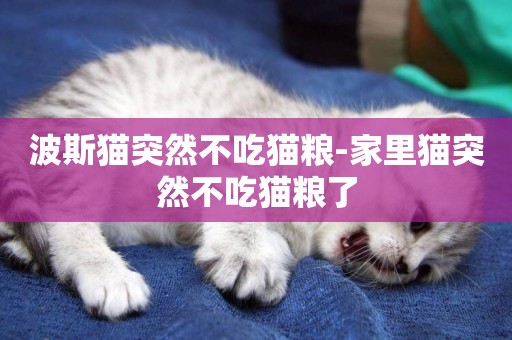 波斯貓突然不吃貓糧-家里貓突然不吃貓糧了
