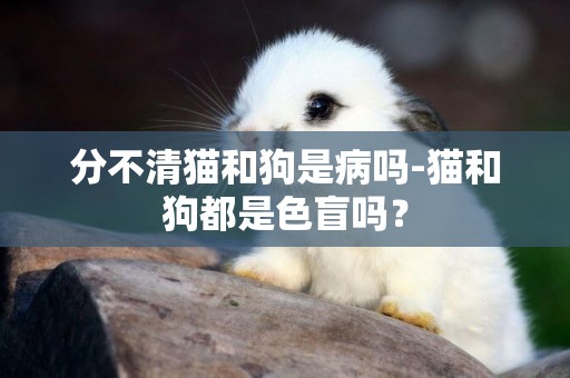 分不清貓和狗是病嗎-貓和狗都是色盲嗎？