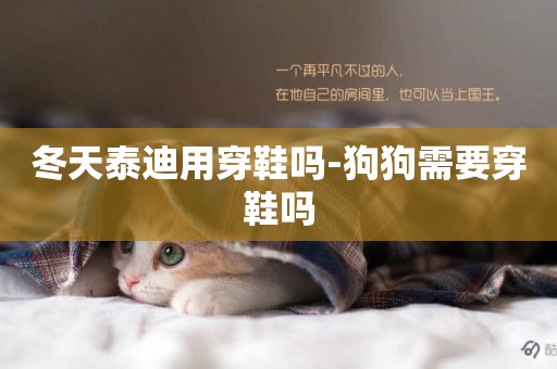 冬天泰迪用穿鞋嗎-狗狗需要穿鞋嗎
